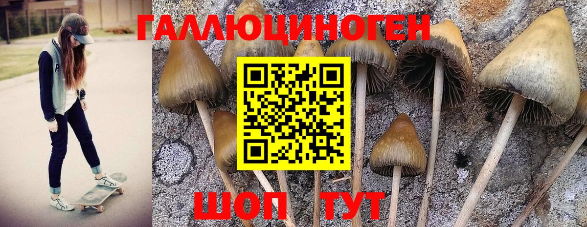 Галлюциногенные грибы Magic Shrooms Волхов