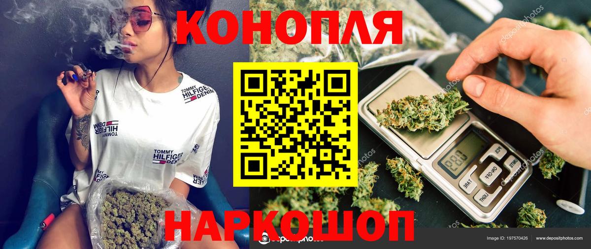 Бошки Шишки семена Волхов